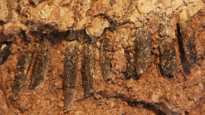 Imagen foto_00000001