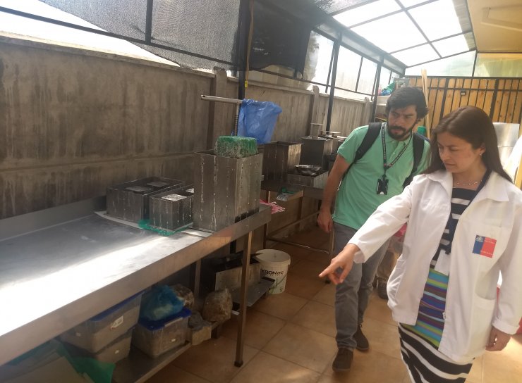 Clausuran fábrica ilegal de quesos en Coihueco