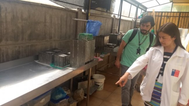 Clausuran fábrica ilegal de quesos en Coihueco