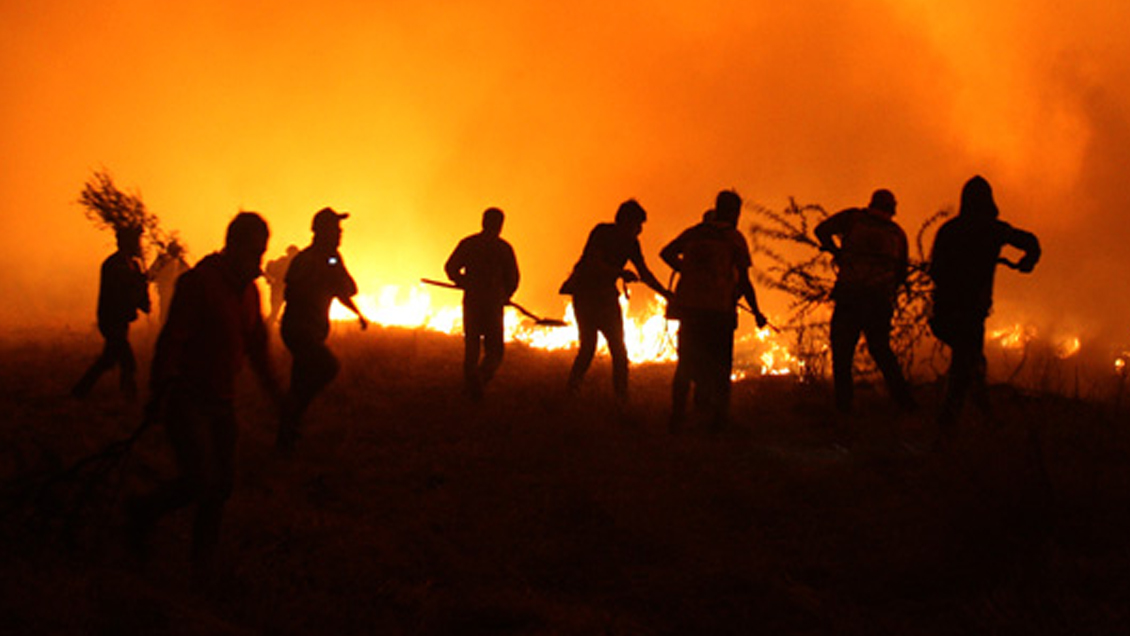 Balance de Onemi: 22 incendios forestales siguen activos en el centro sur del país