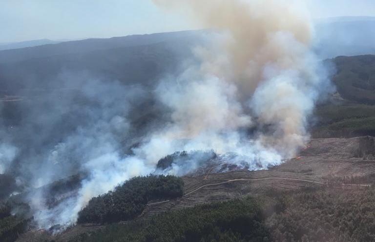 Incendios forestales: 372 hectáreas quemadas en Los Ríos