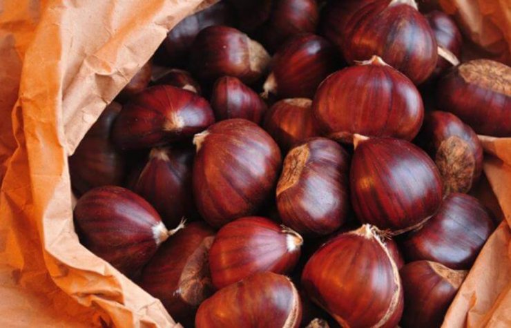 Ñuble: Inician programa de apoyo a productores de castañas y frutillas