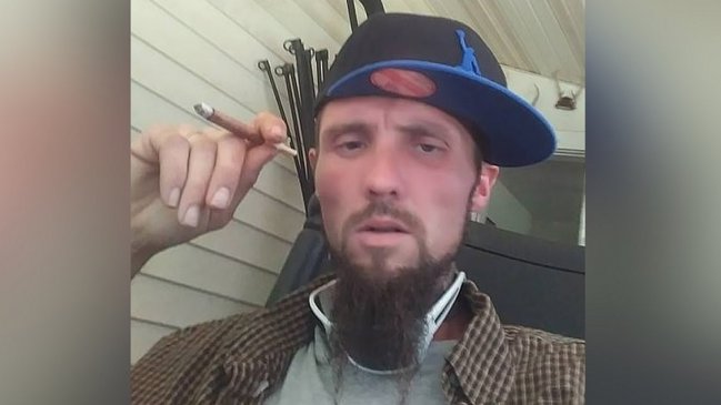 Oso fue sacrificado tras comerse a hombre que murió por sobredosis de metanfetaminas