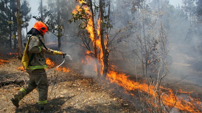 Bomberos de Ñuble apoyan combate de incendios forestales en La Araucanía