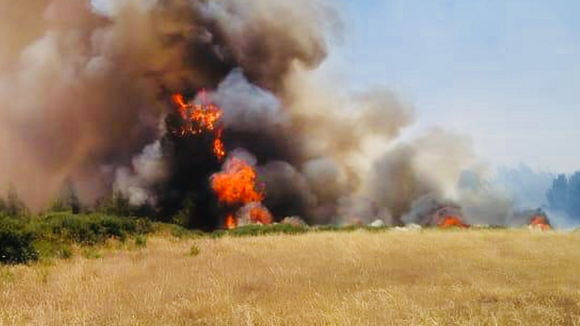 Walker: Es un error político transformar los incendios como parte del conflicto mapuche