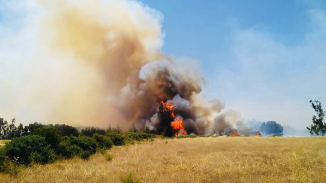 Fiscal regional (s) de La Araucanía: Hay 15 detenidos por incendios forestales