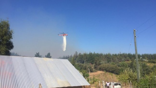 Ñuble: Decretan alerta roja por incendio forestal en Trehuaco