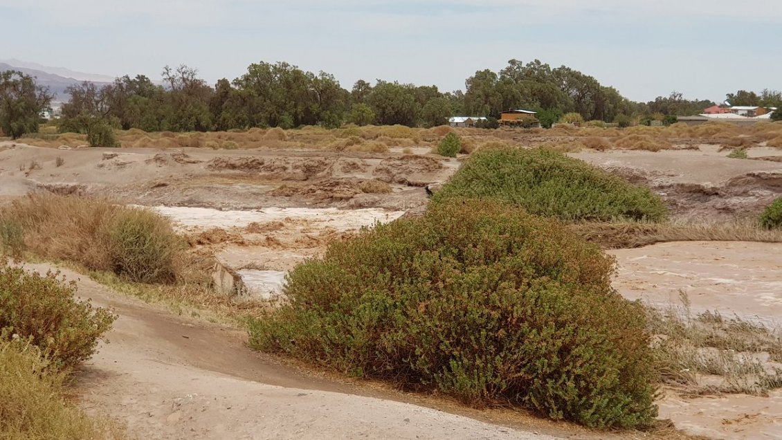 Rescatan a mujer que cayó al lecho del Río Loa
