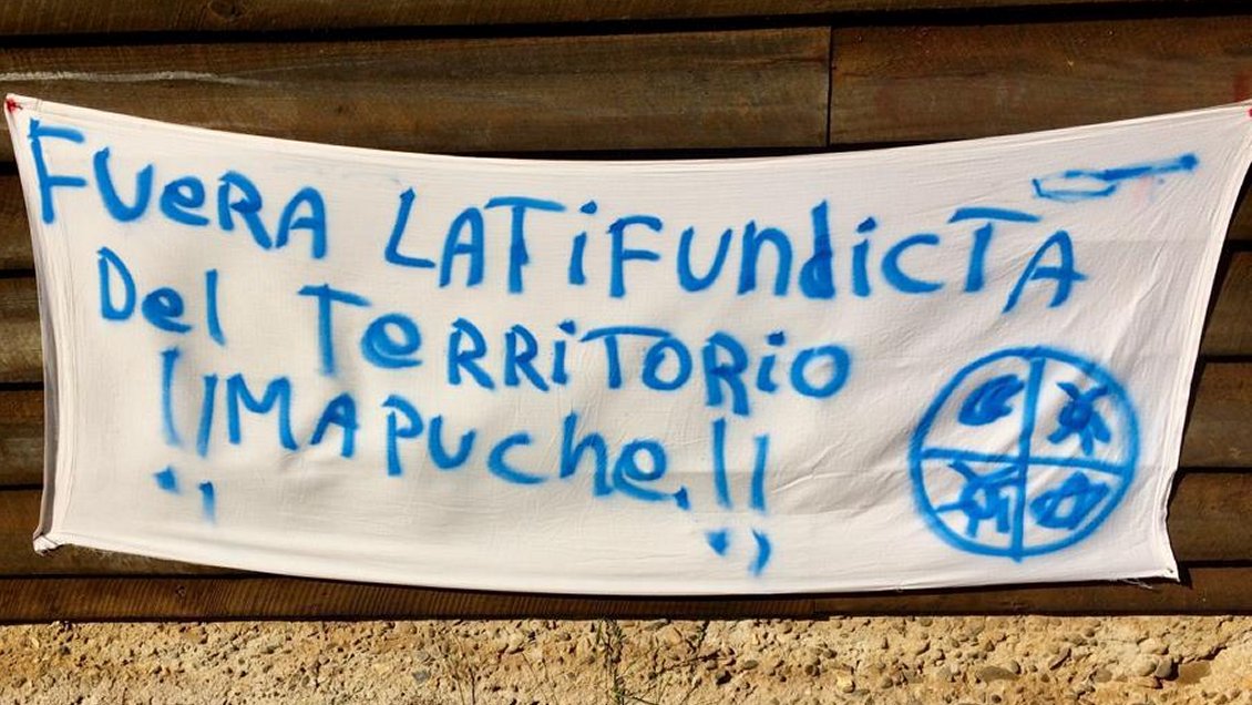 Empresario acusa que grupo mapuche ocupó y saqueó su fundo durante 