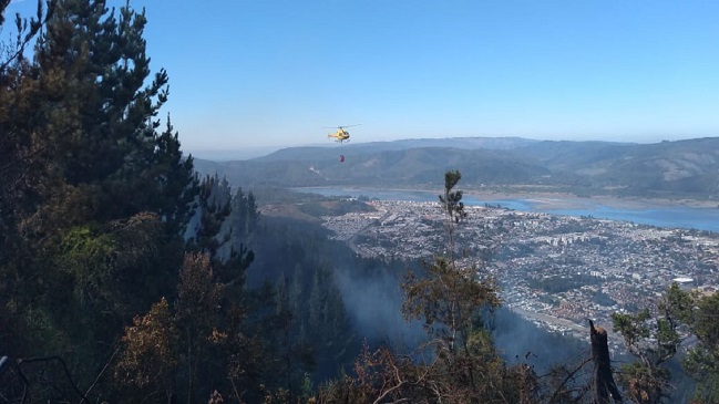 Alcaldía de Chiguayante presume intencionalidad en incendio forestal iniciado anoche