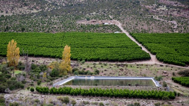 El trabajo de la DGA en Petorca para erradicar la extracción ilegal de agua