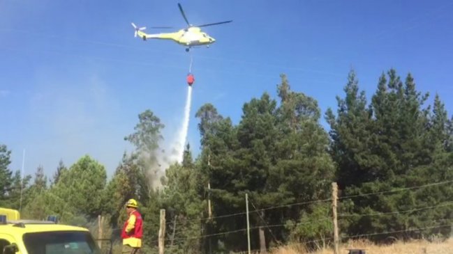 Región de Ñuble: Controlan incendios forestales en Trehuaco y Coelemu