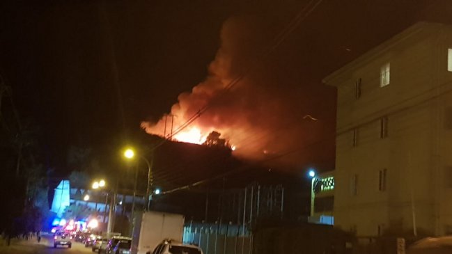 Temuco: Incendio forestal en el cerro Mariposas moviliza a Bomberos y Conaf
