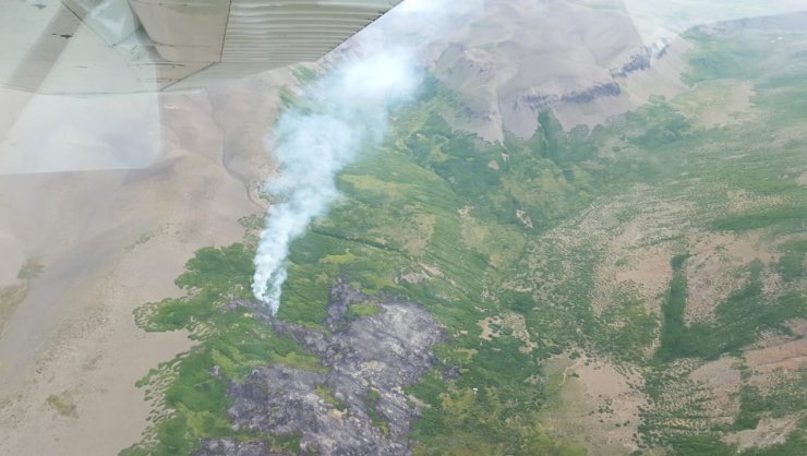 Incendio en Reserva Ñuble no presenta riesgo para visitantes ni fauna protegida