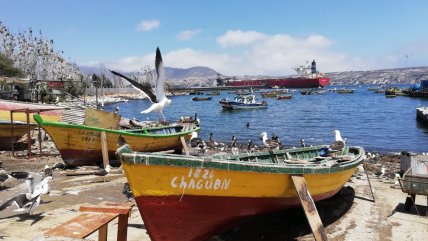  Pescadores de Coquimbo resienten baja de turistas tras el sismo  