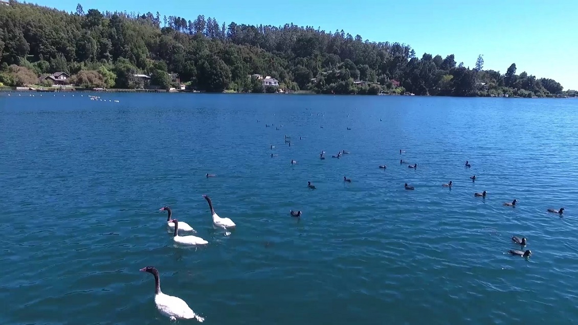 Privilegio de pocos: Laguna Chica de San Pedro de la Paz no tiene acceso libre a sus playas