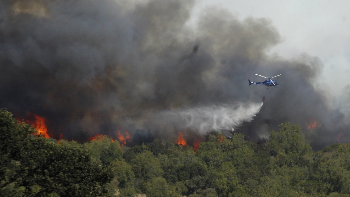 La Araucanía: Declaran alerta roja por incendio forestal en Traiguén