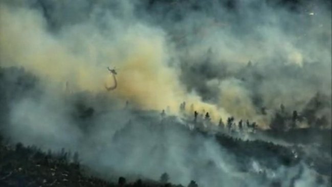 Ñuble: Decretan alerta roja por incendio forestal en Nueva Aldea