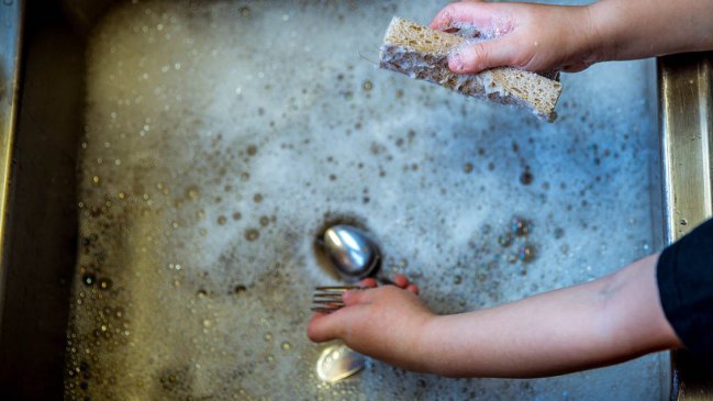 Científicos chilenos descubren que antibacteriano presente en productos de uso diario es tóxico