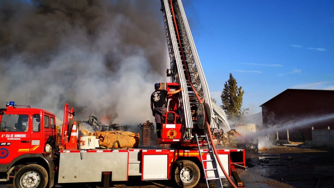 Incendio en bodegas de empresa agrícola en San Vicente se propagó a cerros colindantes
