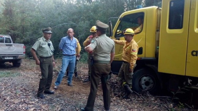 Ñuble: Investigan intencionalidad en incendios forestales de Nueva Aldea y San Fabián