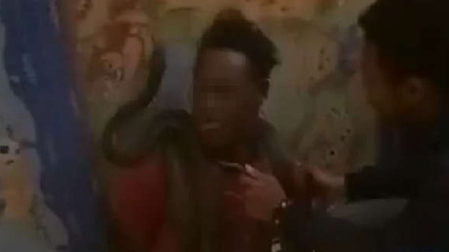 La Policía indonesia reconoció que usó una serpiente durante un interrogatorio