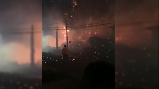 Incendios forestales: Región del Biobío en alerta por focos simultáneos en cinco comunas