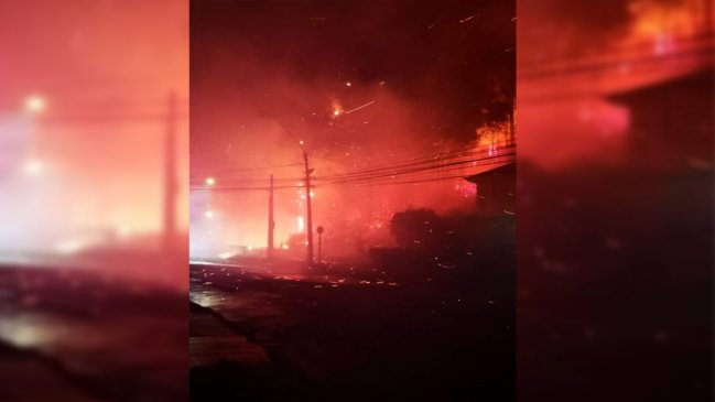 Onemi declaró alerta amarilla por incendios forestales en la provincia de Concepción