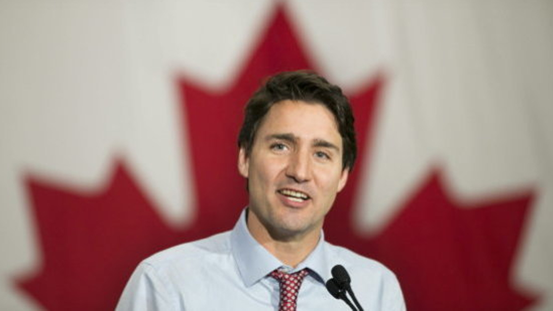 Los 43 mexicanos rescatados de esclavitud en Canadá recibieron permiso de trabajo