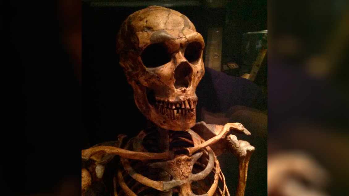 Encuentran la segunda huella de neandertal en el mundo