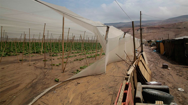 Imagen foto_00000033