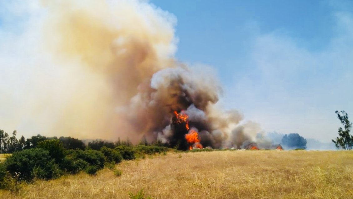 Incendios: Gobierno cifró en 
