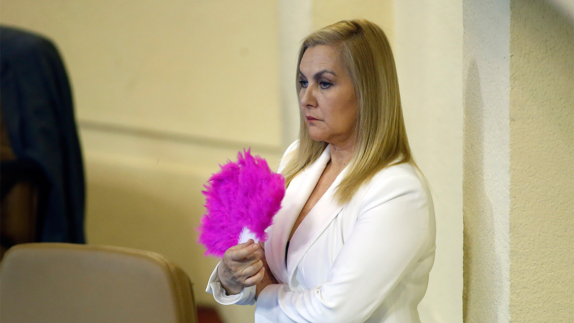 ¿Por qué Pamela Jiles no pide la palabra en la Cámara?