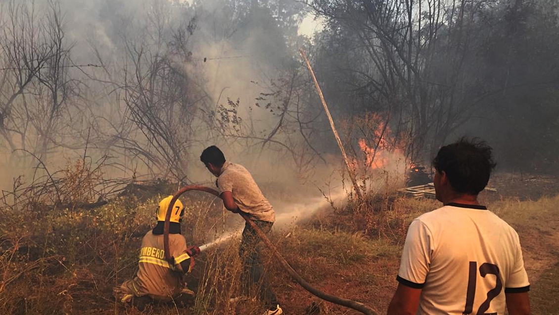 Decretan alerta roja en Chillán y Coelemu por incendios forestales de rápida de propagación