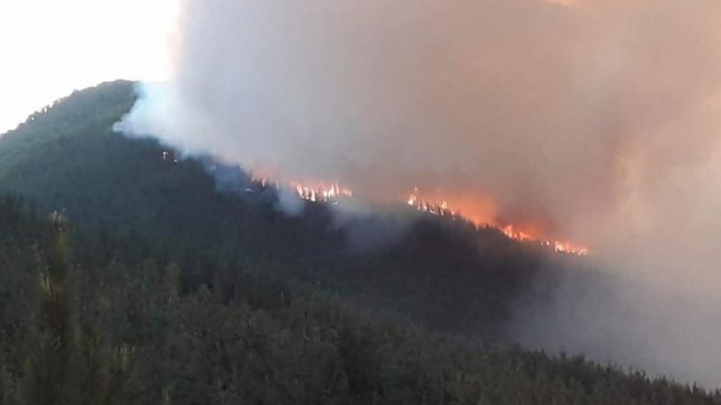 Incendio forestal provocado por rayo consume 200 hectáreas en Parral
