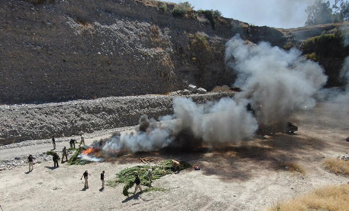 Imagen foto_00000017