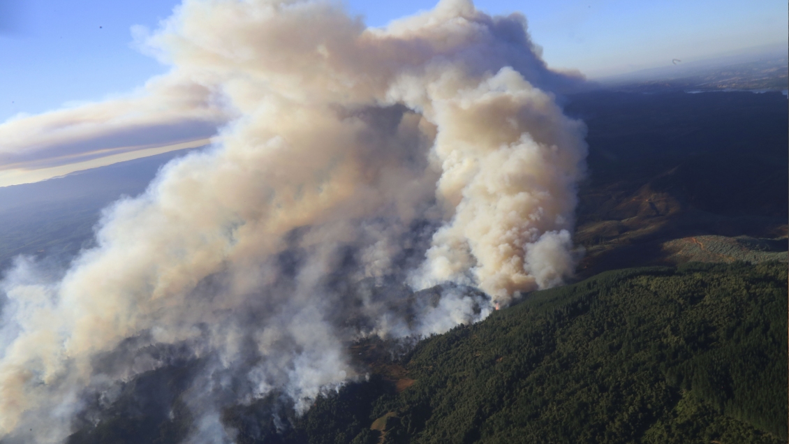 Ñuble: 50 personas evacuadas y cinco viviendas quemadas por los incendios forestales