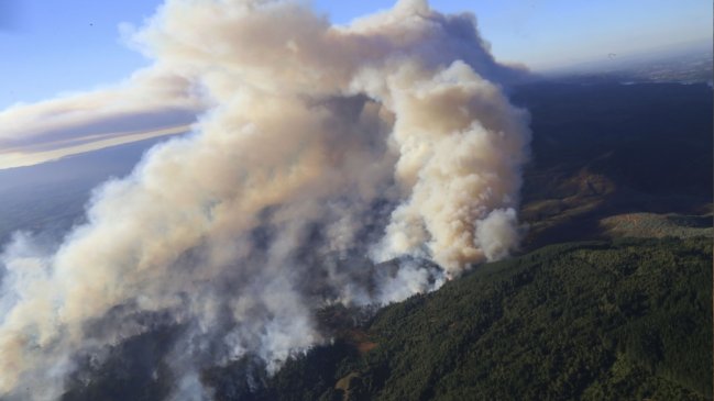 Ñuble: 50 personas evacuadas y cinco viviendas quemadas por los incendios forestales
