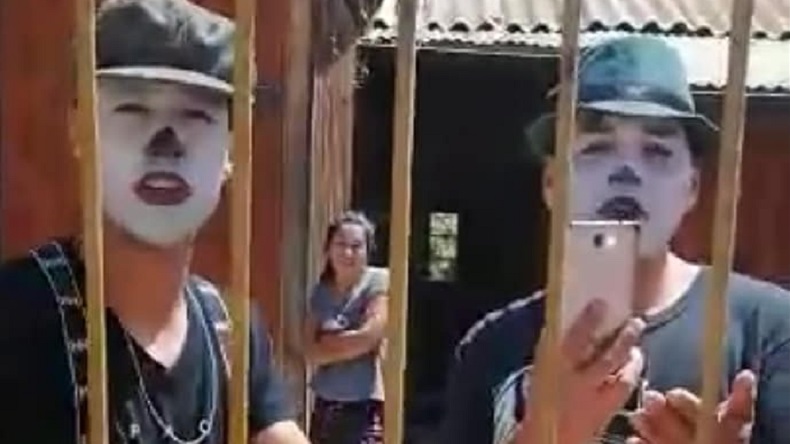 Mujer denunció que mimos se tomaron su casa y la destrozaron