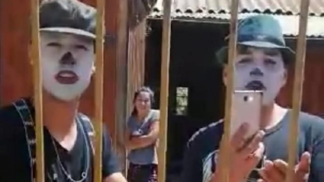 Mujer denunció que mimos se tomaron su casa y la destrozaron