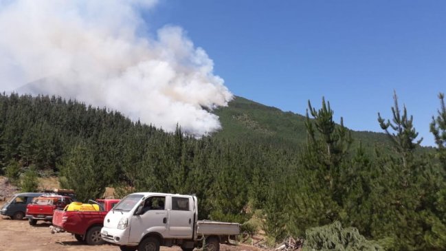 Parral: Ejército se sumó a combate de incendio que ha consumido 340 hectáreas