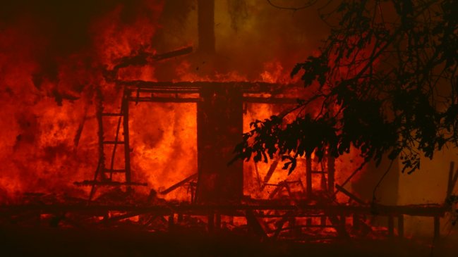 Ñuble: Incendios destruyen 650 hectáreas y 13 viviendas