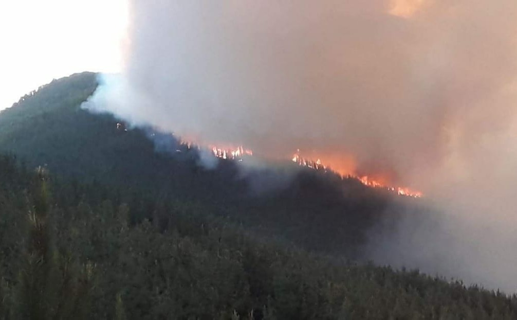 Humo por incendios forestales genera alerta sanitaria en Ancud