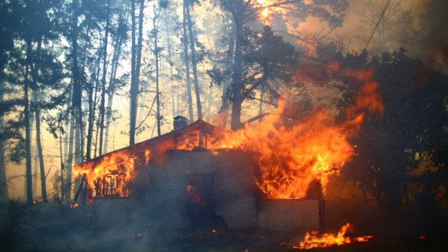Incendios forestales: Se mantienen tres focos activos en el Biobío