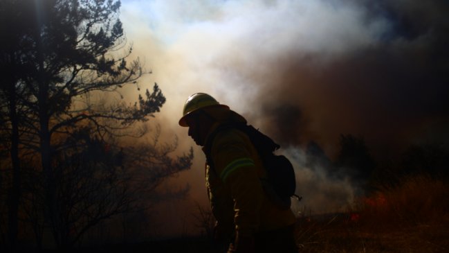 La Araucanía: Brigadistas se movilizaron por malas condiciones laborales