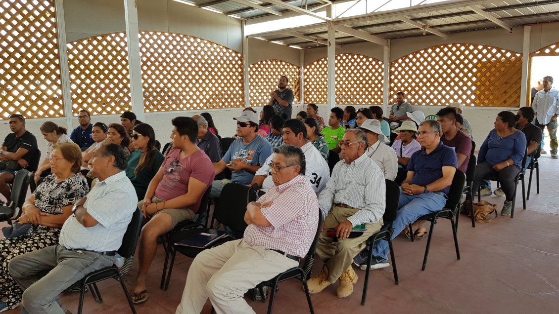 Agricultores de Pica piden información para recibir ayuda tras emergencia climática