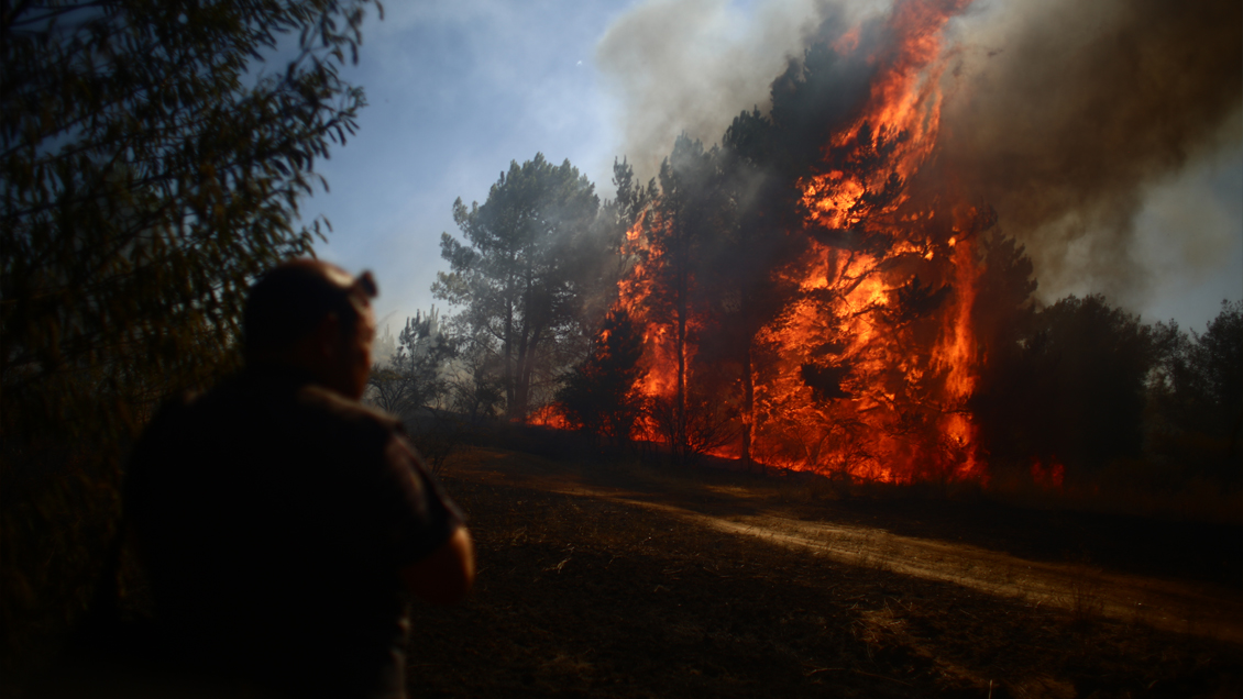 Ocho alertas rojas: Hay 31 incendios forestales activos en el país