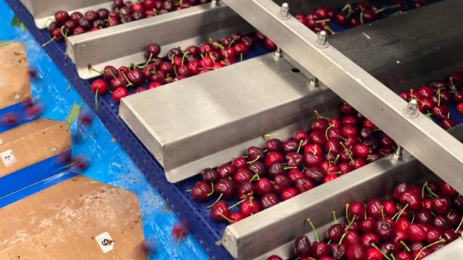 Inacer: Maule, Magallanes y O'Higgins registraron mayor alza económica en 2018