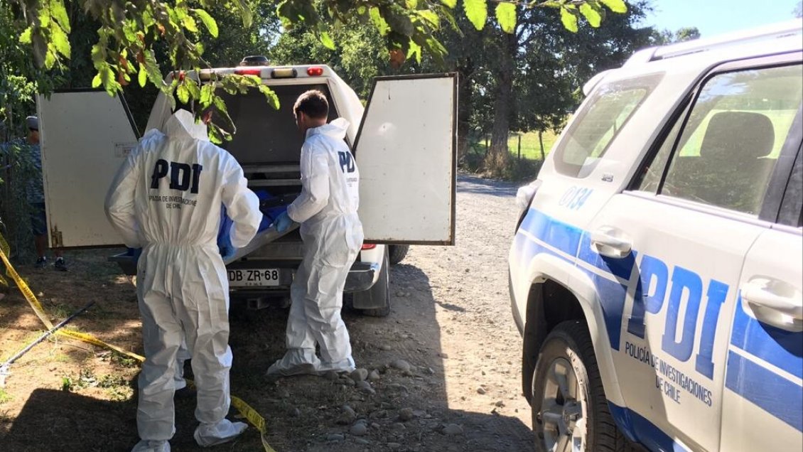 Osorno: Hombre murió electrocutado mientras podaba árboles de su jardín