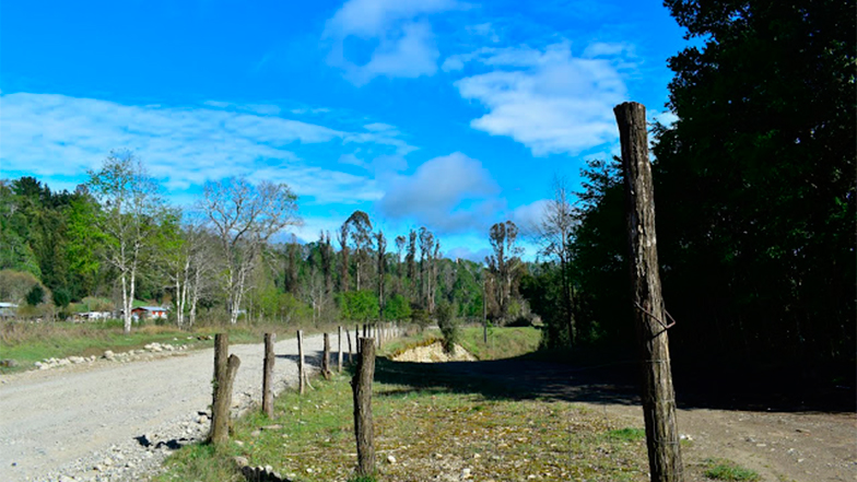 Imagen foto_00000015